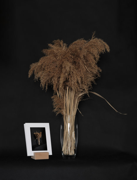 花瓶藤条和白色相框在斯堪的纳维亚装饰风格图片下载