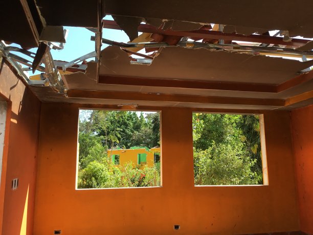 家vandolizada图片下载