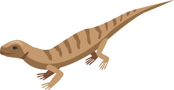 棕色条纹蜥蜴图标等距风格图片下载