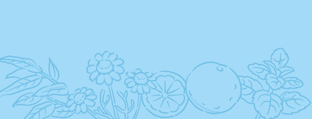 横幅或bancground。流行的精油植物。矢量插图。图片下载