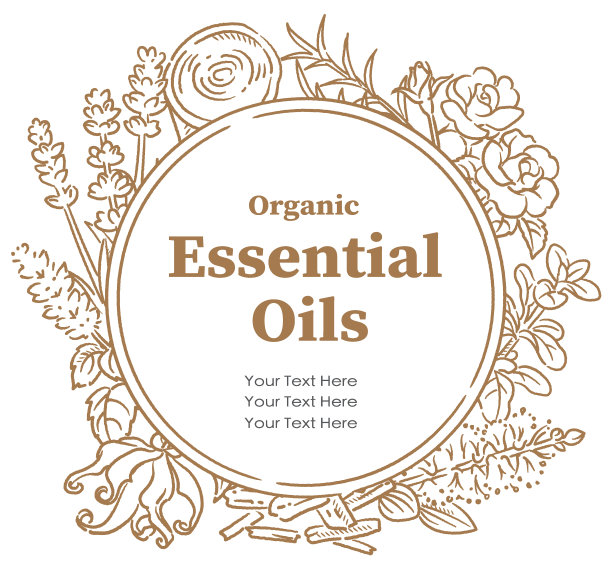 设计与流行的精油花和香草。矢量插图。图片下载