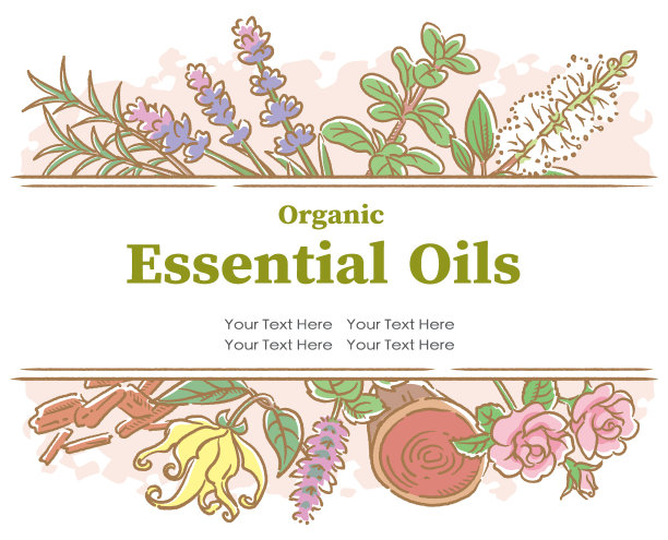 设计与流行的精油花和香草。矢量插图。图片下载