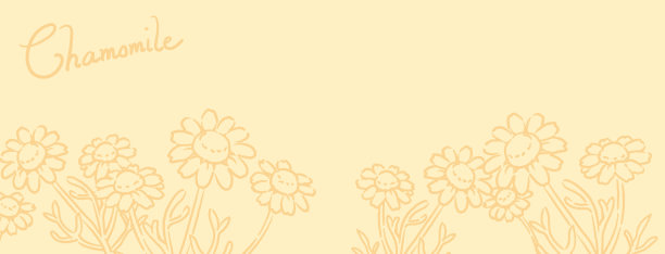 旗帜或背景有洋甘菊花。矢量插图。图片下载