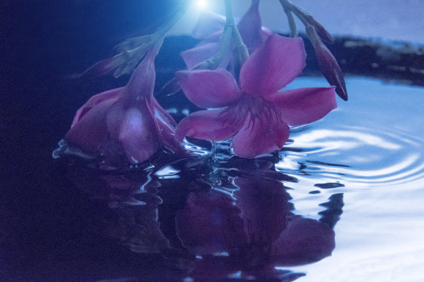 水花飞溅图片下载