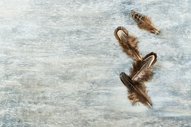 羽毛在质朴的木制背景上。前视图。副本的空间。图片下载