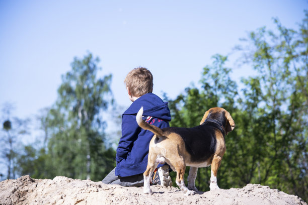 小男孩和他的朋友小猎犬图片下载