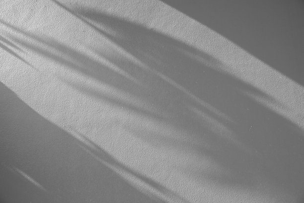 阴影叶子在灰色的墙壁纹理背景。在光图片下载