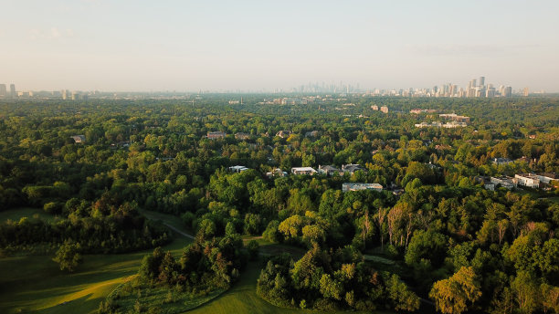 日落在多伦多图片下载