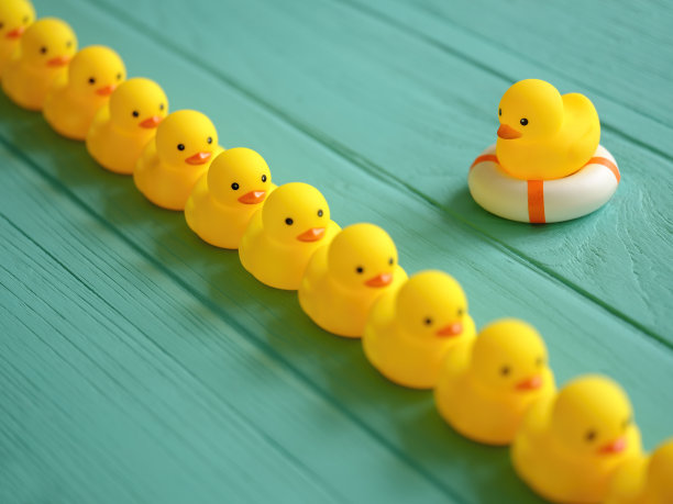 一排黄色的橡皮鸭子，有序地排成一行，一只鸭子坐在附近的一个充气救生圈上看着一排鸭子，放置在绿松石色的木纹桌子的背景上，概念上代表水。图片下载