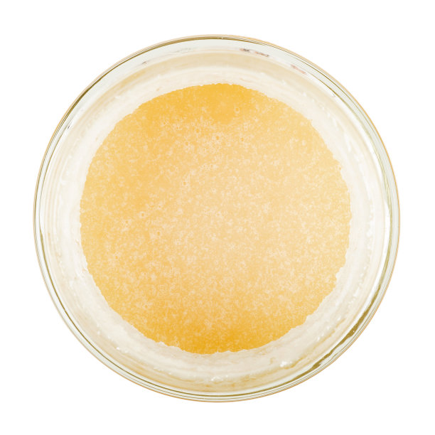 玻璃罐子里的蜂蜜。孤立在白色背景上。从上面看。图片下载