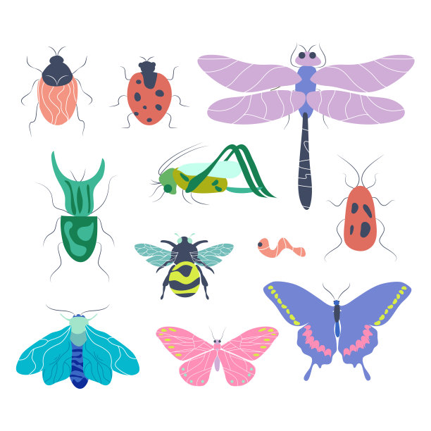 收集优雅的昆虫设计理念:蝴蝶，飞蛾和其他甲虫孤立在白色的背景。图片下载