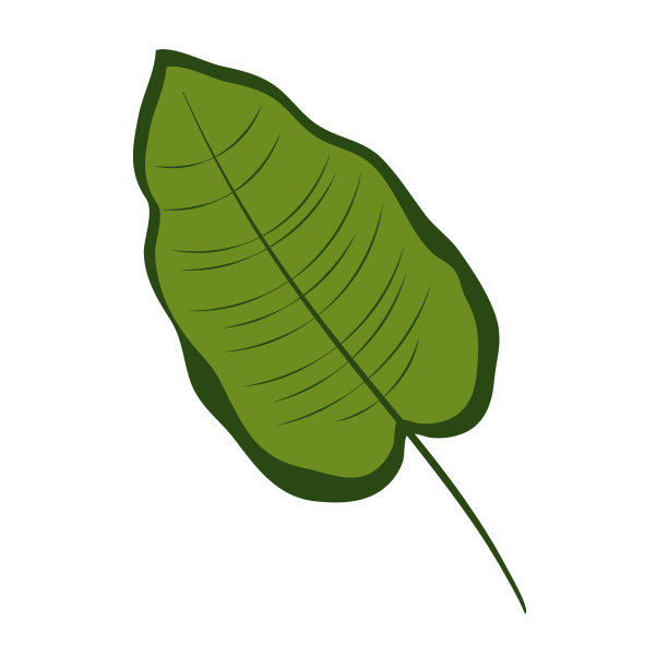 丛林树叶孤立的白色背景。矢量插图。图片下载