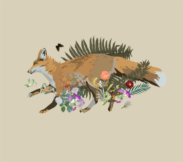 和狐狸跑花和图片下载