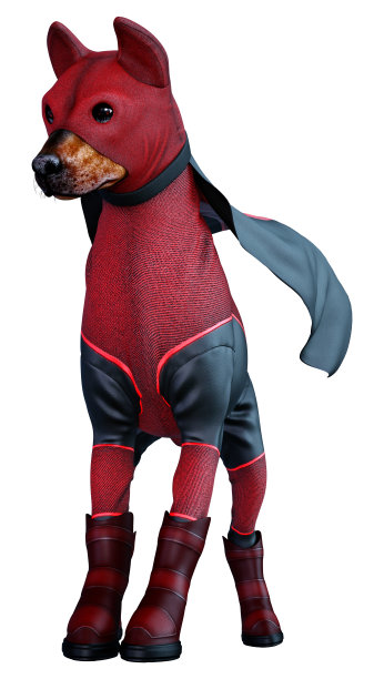 3D插图超级英雄狗在白色图片下载