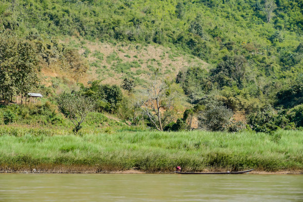 森林中的湖泊，以数码照片图片为背景图片下载