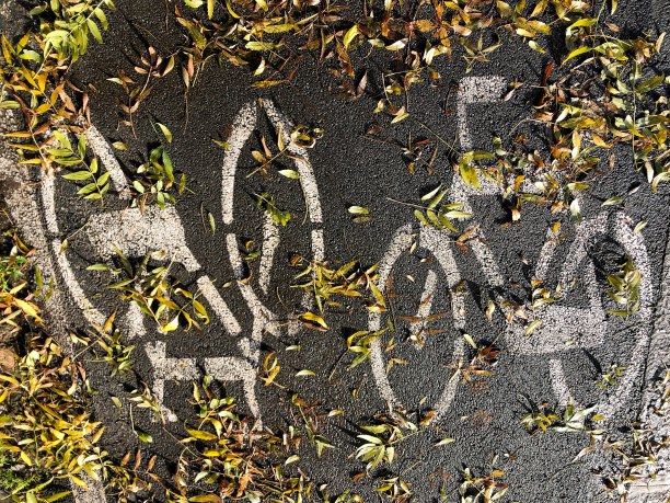 秋天，自行车道的标志被枯叶覆盖着图片下载