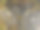 秋天，自行车道的标志被枯叶覆盖着图片下载