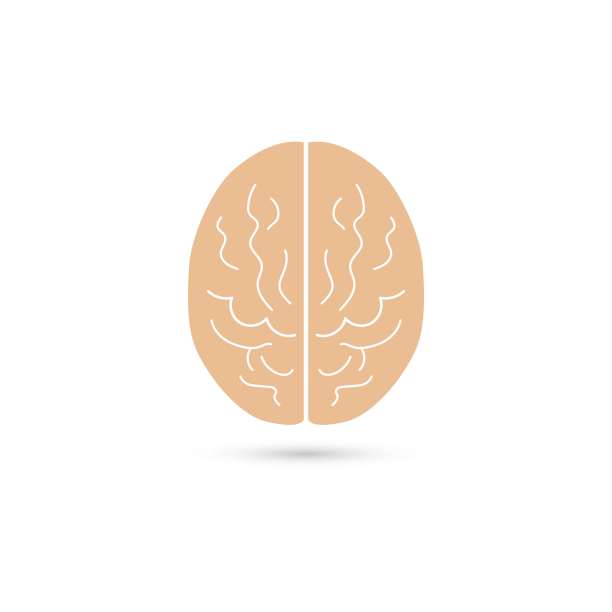 人脑图解图片下载