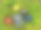 邪恶的日记和魔法毒苹果在花园里的草地上图片下载