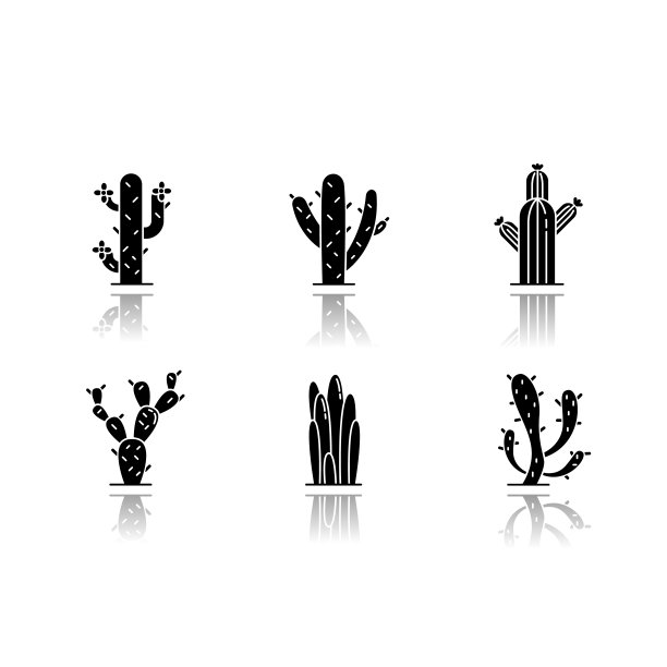仙人掌下落阴影黑色象形文字图标集。美国的沙漠植物。家庭仙人掌科。不同的多刺的肉质植物。干旱地区多刺的野花。孤立的矢量插图上的空白图片下载