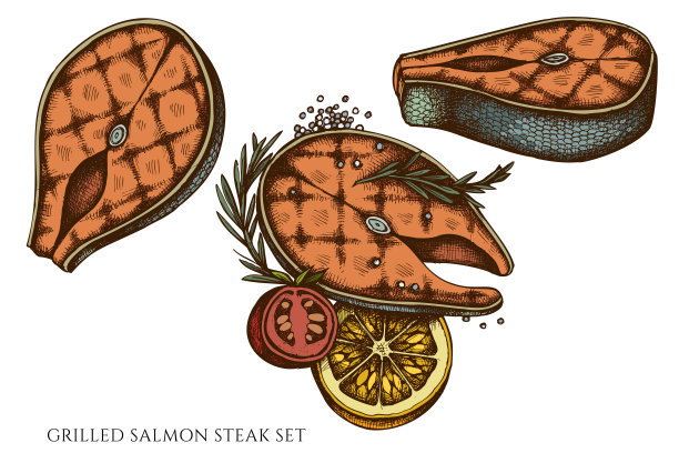 矢量一套手绘彩色烤鲑鱼牛排图片下载