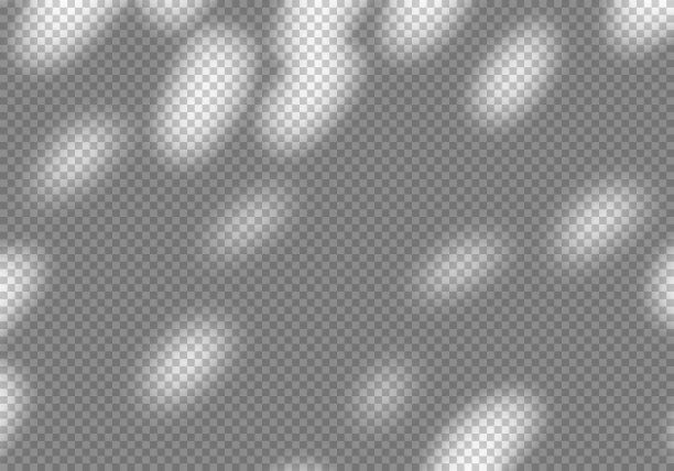 向量透明阴影的树叶剪影。横幅的装饰设计元素。阴影覆盖效果图片下载