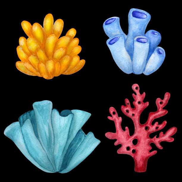 水彩珊瑚，植物，海藻图片下载