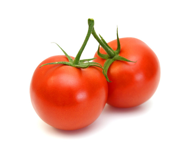 成熟的番茄孤立在白色背景上图片下载
