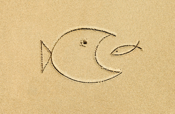 在沙滩上的特写图像图片下载