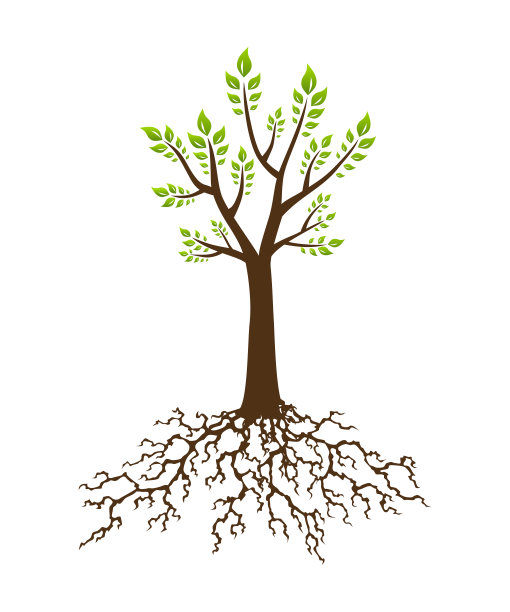 有根的抽象树。有茂盛根和叶子的树。企业品牌标识设计模板图片下载