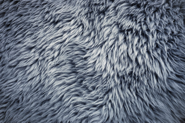 羔羊毛皮背景图片下载