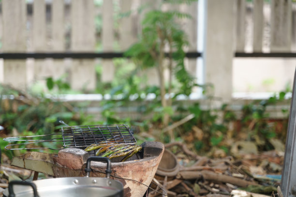 在泰国传统的粘土炉上烤绿辣椒图片下载