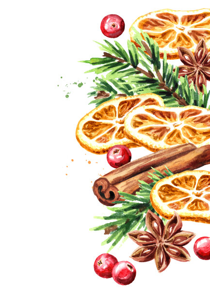 圣诞香料干橘子片，八角和肉桂棒，蔓越莓和冷杉树枝，手绘水彩插图孤立在白色背景图片下载