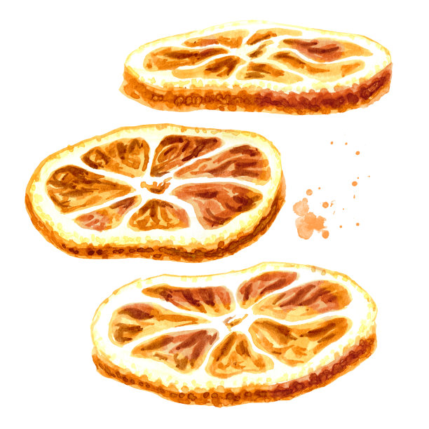 干桔片，切片。手绘水彩插图孤立的白色背景图片下载