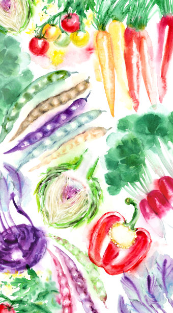 五彩缤纷的夏季蔬菜画图片下载