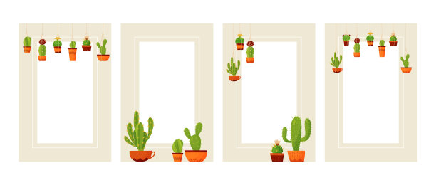 构图仙人掌在一个灰色的背景上用一个图片下载