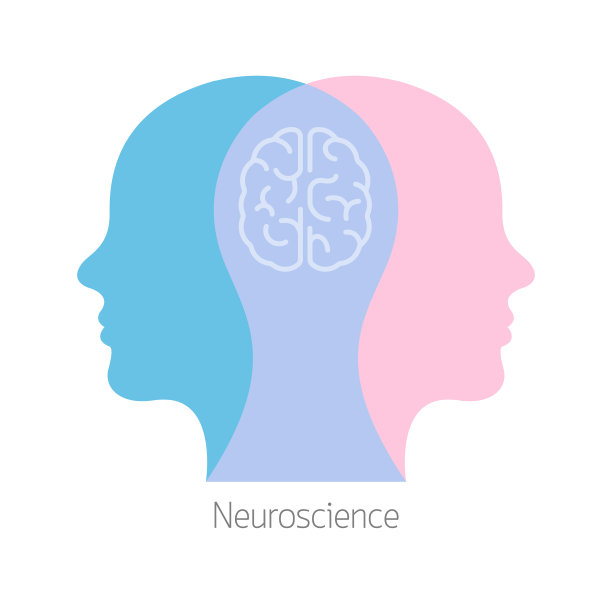 二人大脑心理治疗概念。心理健康治疗师和病人。健康保险图片下载