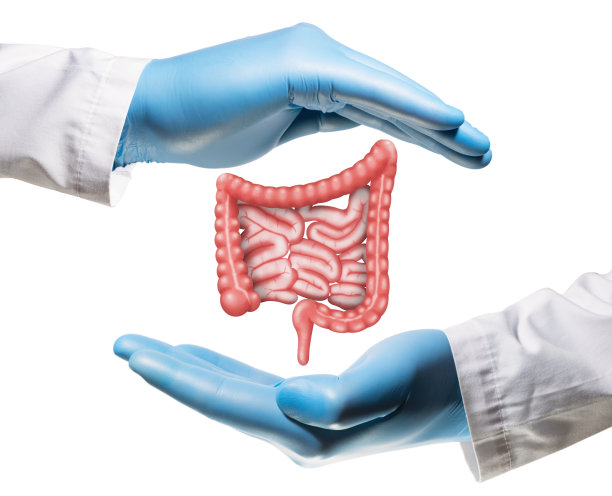 健康肠道的概念图片下载