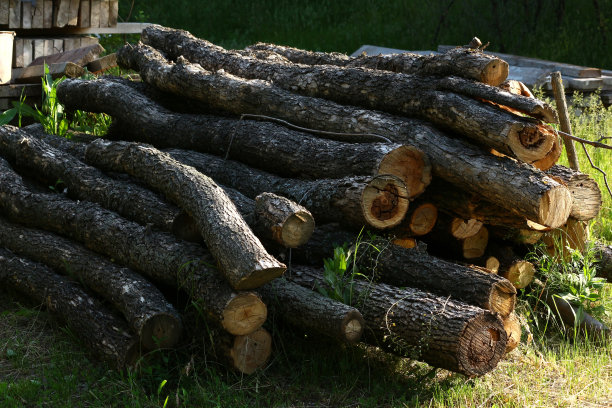 这是一张彩色照片，在一个村庄的地上，锯成一堆的树。日志柴堆。图片下载