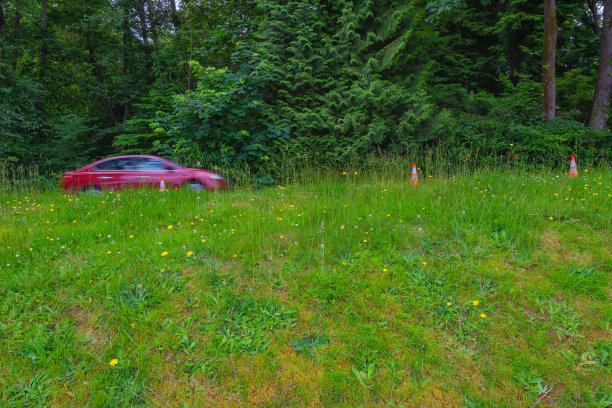 绿色的风景图片下载