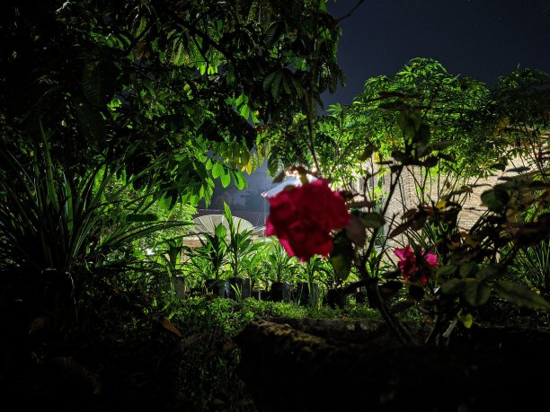 银河在夜里图片下载