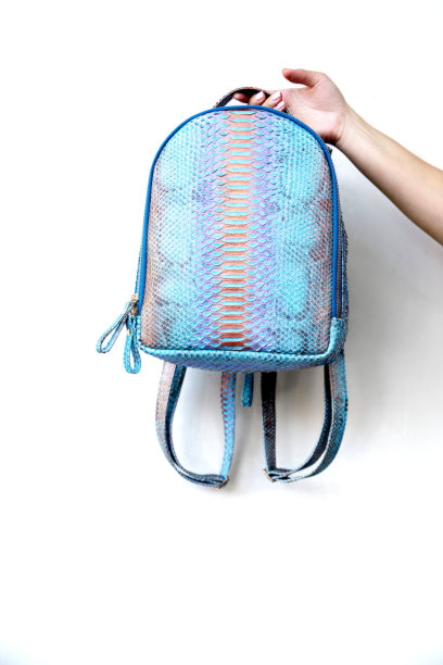 蓝色蟒蛇皮背包在女人的手在白色的墙壁背景。图片下载