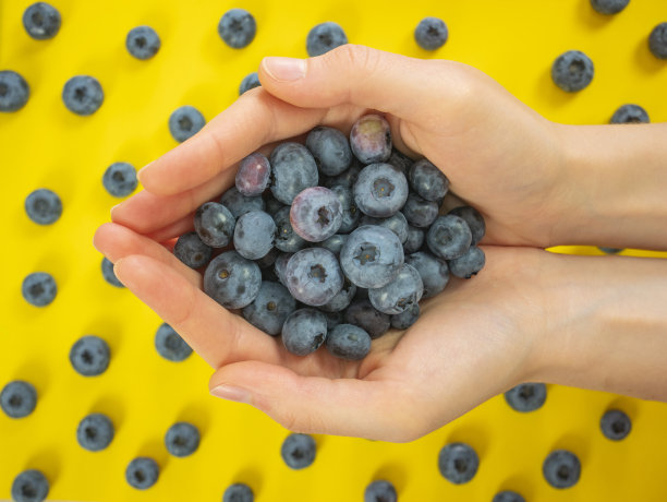 女人手里拿着蓝莓。波普艺术风格。图片下载