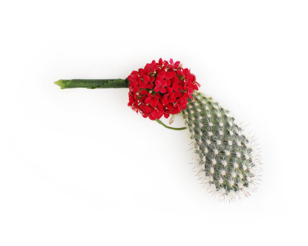 枪。制止暴力，树立和平观念。图片下载