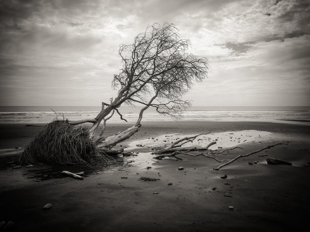 孤立的图片下载