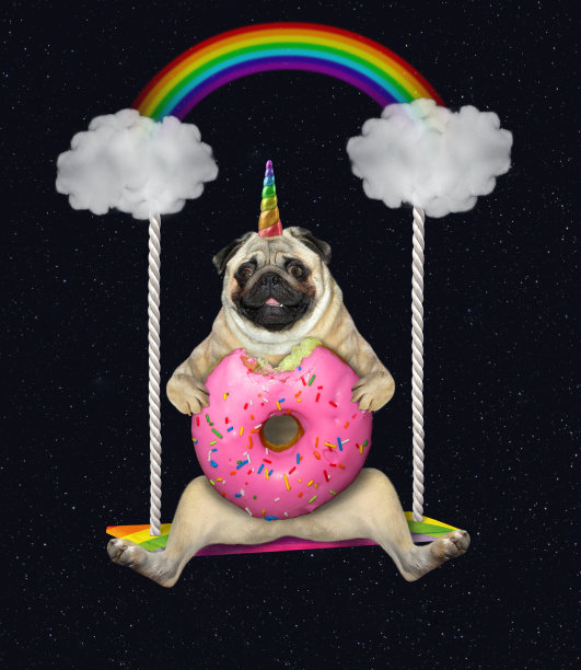 Pugicorn在秋千上吃粉色的甜甜圈图片下载