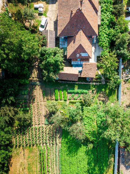 鸟瞰图的独立乡村房屋和蔬菜花园图片下载
