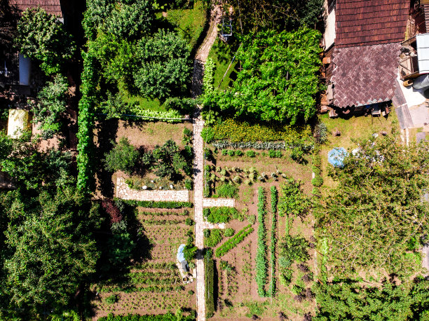 有机蔬菜园鸟瞰图图片下载