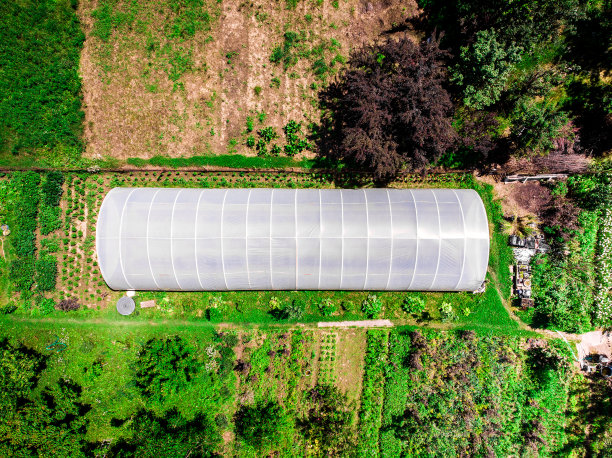 有机蔬菜园鸟瞰图图片下载