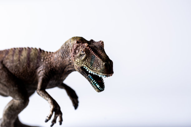 白色背景上的玩具恐龙图片下载